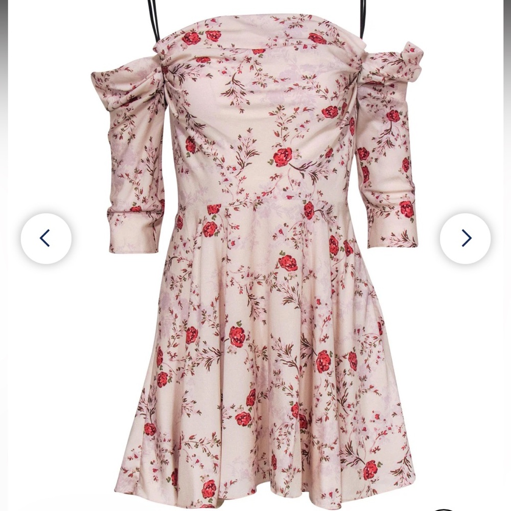 Lovers + Friends Rose Print Dress